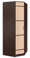 Шкаф Сакура (88) угловой (венге, лоредо-венге,(БТС)) в Крыму от производителя в интернет магазине Планета Комфорта Шкаф Сакура (88) угловой (венге, лоредо-венге,(БТС)) в Крыму от производителя