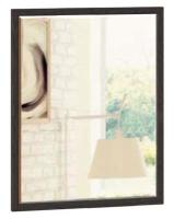 zerkala-v-prikhozhuyu зеркало камелия п-з-01 производитель Сантан